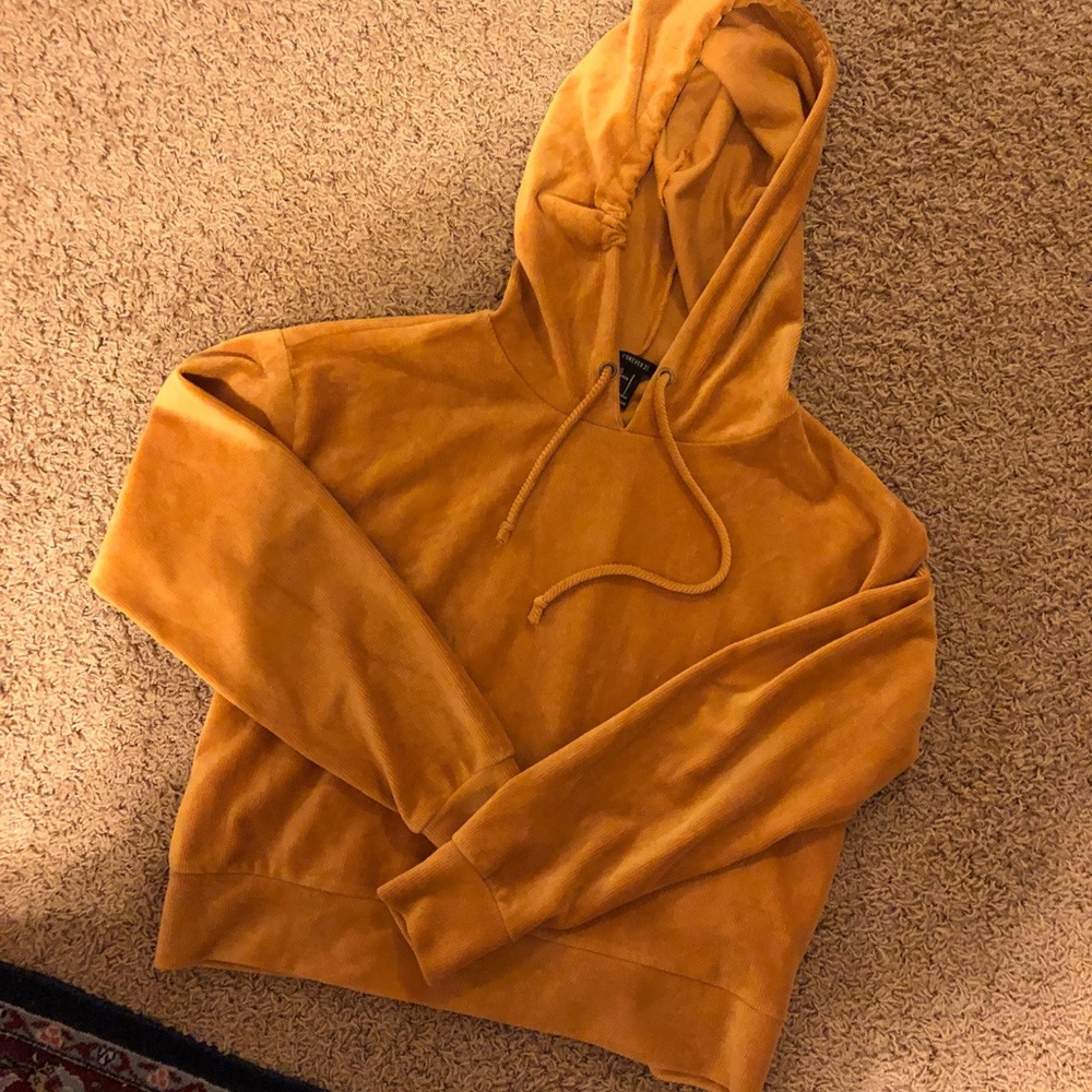 forever 21 Cropped Velvet Sweatshirt